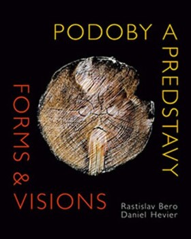 Podoby predstavy