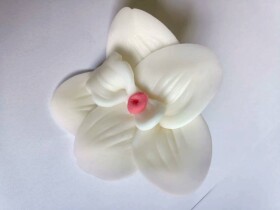 Dortisimo Cukrová orchidej bílá (9 ks)