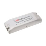 BIG WHITE (SLV) Můstkový LED driver 42 W, 500 mA pro NUMINOS®, včetně radiofrekvenčního rozhraní pro modul RF, DALI 1006459