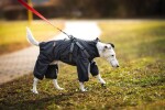 Nelly pláštěnka do deště - nepromokavá kombinéza Barva: Šedá, Délka zad (cm): 25, Obvod hrudníku: 25 - 39 cm