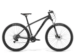 AMULET Rival 2.0 SR 29", model 2024, rám barva anthracite/black