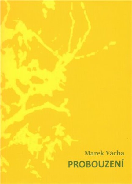 Probouzení