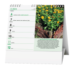 Stolní kalendář 2026 Baloušek IDEÁL - Léčivé rostliny