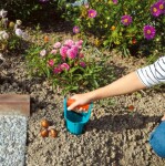 Gardena Kolík na sadenie kvetinových cibuliek 3412