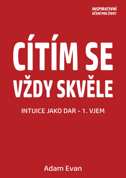 Cítím se vždy skvěle, Intuice jako dar 1. Vjem - Adam Evan