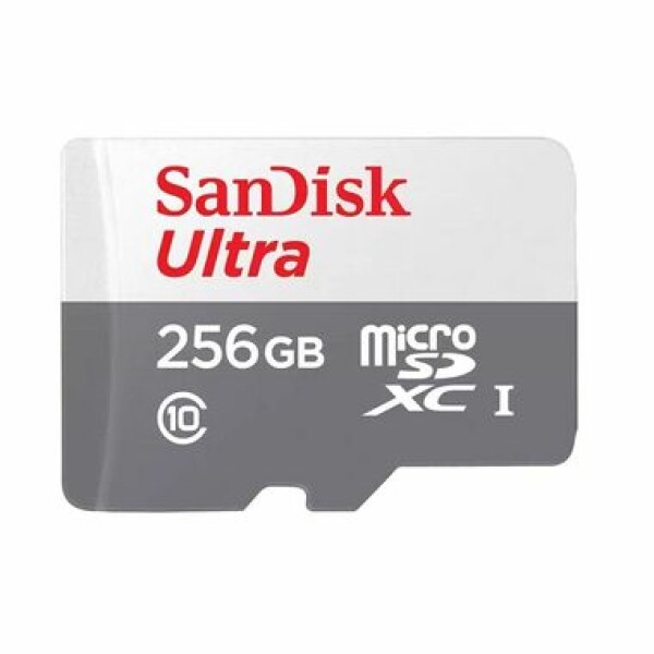 Sandisk MicroSDXC UHS-I 256GB SDSQUNR-256G-GN3MN