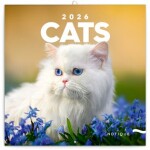 Poznámkový kalendář Kočky 2026