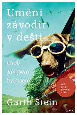 Umění závodit v dešti aneb jak jsem byl psem - Garth Stein