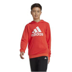 Mikina adidas Big Logo Hoodie Jr IX9531 128