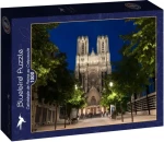 BLUEBIRD Puzzle Katedrála v Remeši za soumraku