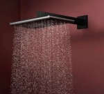 HANSGROHE - Raindance Alive Q Hlavová sprcha, 21x34 cm, 2 proudy, matná černá 24550670