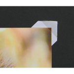Hama fotorůžky samolepící, transparentní, 500 ks