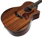 Taylor PS14ce