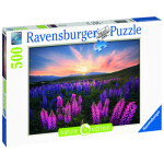 Ravensburger Vlčí boby