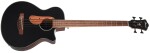 Ibanez AEGB24E-BKH - Black High Gloss