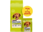 Purina Dog Chow Adult Jehněčí 14+2.5 kg / Krmivo pro psy (8445291654679)