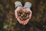 New Mags Kniha – The Art Of Slow Living, Samar Cajal, šedá barva, papír
