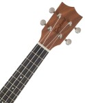 Tanglewood TWT 3 E