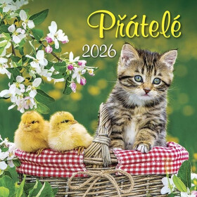 Kalendář 2026 Přátelé, nástěnný, 33 x 33 cm