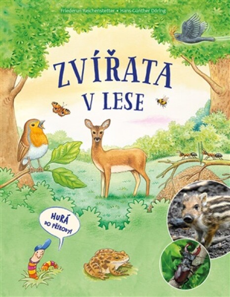 Zvířata v lese