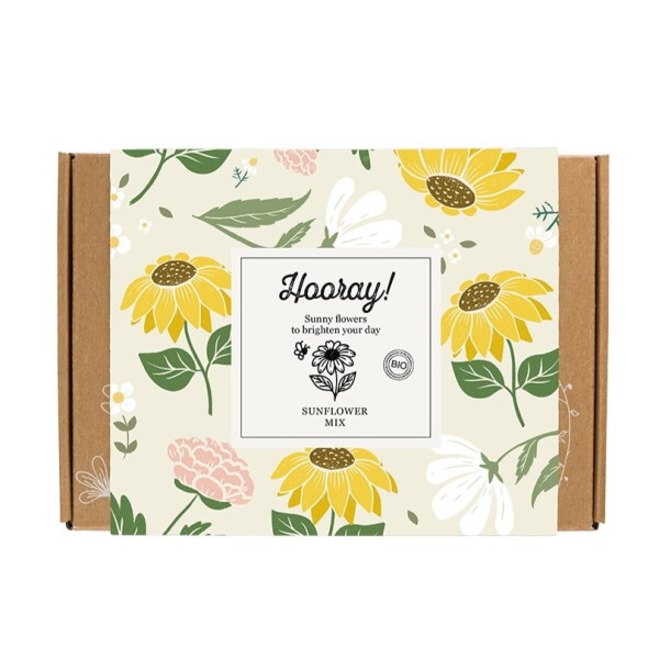 Blossombs Dárková sada semínek slunečnic Hooray – 7 ks, žlutá barva, papír