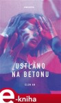 Ustláno na betonu - An Elen e-kniha