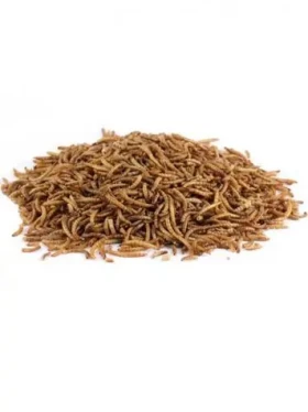 AnimALL Moučný červ sušený 70 g (110725)