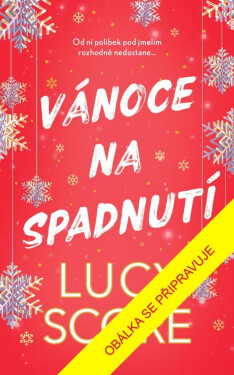 Vánoce na spadnutí - Lucy Score