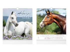 Nástěnný kalendář 2025 Horses