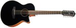 Ibanez AEG5012H Black