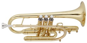 Getzen 800 Eterna