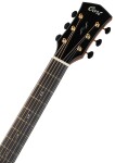 Cort Gold Edge NAT