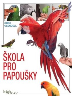 Škola pro papoušky Greg Glendell