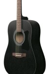 Ibanez V54NJP Weathered Black