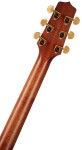 Takamine P3DC