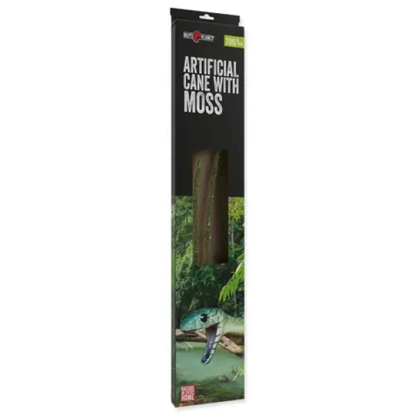 Repti Planet Dekorace liána s mechem šířka 1cm délka 200cm (007-53722)
