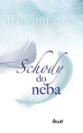 Schody do neba - Lorna Byrne