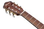 Ibanez FRH10N Rose Gold Metallic
