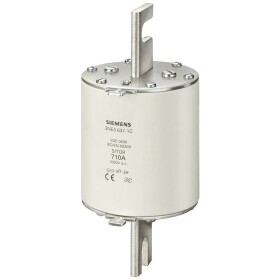 Siemens 3NE34210C sada pojistek Velikost pojistky = 3 100 A 1000 V 3 ks