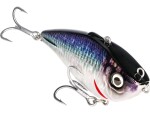 Westin Cikáda Buzzvibe 10cm 57g - Saddled Bream,Westin Cikáda Buzzvibe 10cm 57g - Saddled Bream