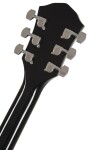 Fender FA-125CE WN BK (rozbalené)