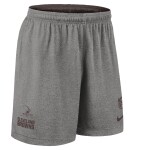 Nike Pánské kraťasy Cleveland Browns NFL 2025 Sideline Reversible Mesh Dri-FIT Shorts Velikost: 2XL