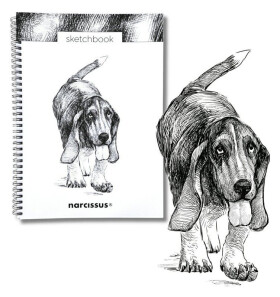 Skicovací spirálový notes A4 - Pes baset