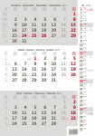 Nástěnný kalendář 2025 Tříměsíční šedý poznámkami