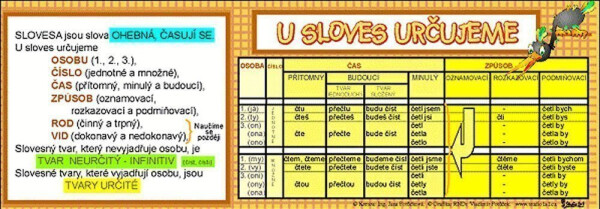 Sloves určujeme