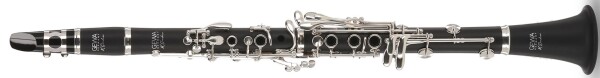 Gewa KS10E model Karel Sandner