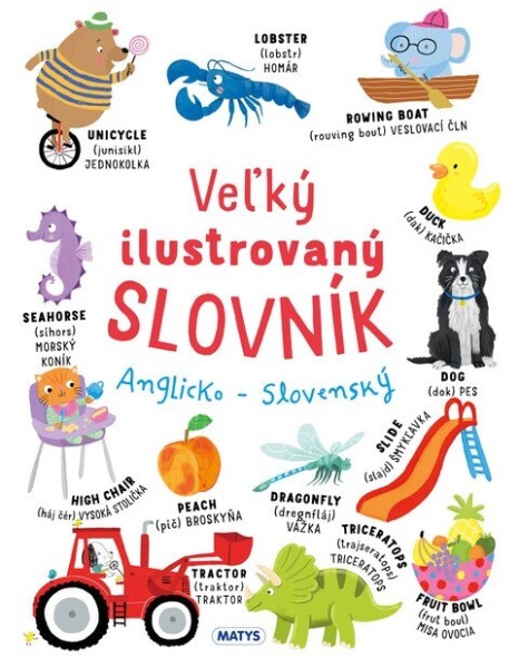 Veľký ilustrovaný slovník Anglicko Slovenský