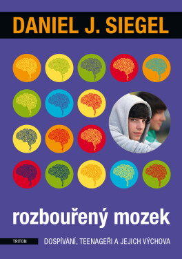 Rozbouřený mozek - Daniel J. Siegel