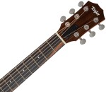 Taylor GS Mini-e LTD Olive