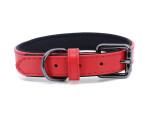 Pasco kožený obojek pro psa | 24 - 43 cm Barva: Oranžová, Obvod krku: 34 - 43 cm, Šířka: 2,5 cm